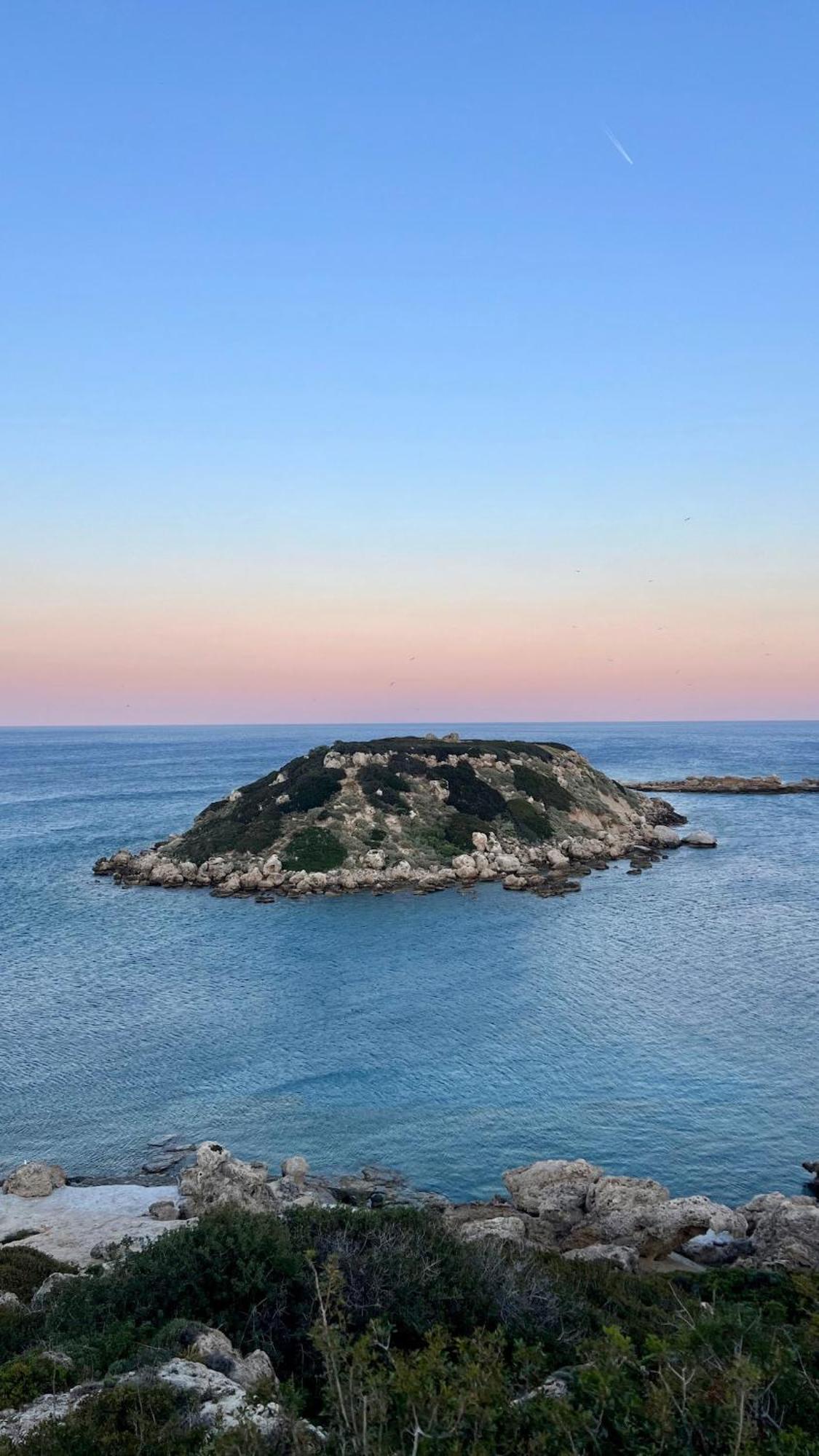 Ninemia Sea Living *